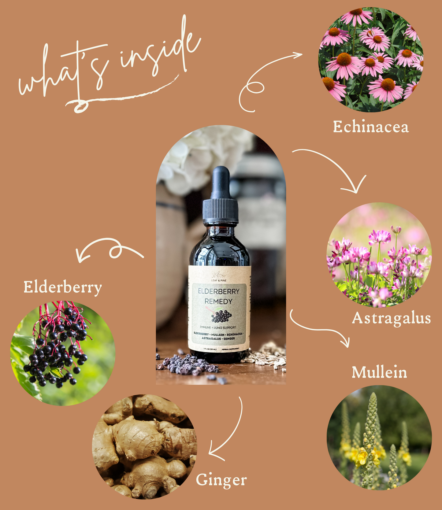 ELDERBERRY REMEDY