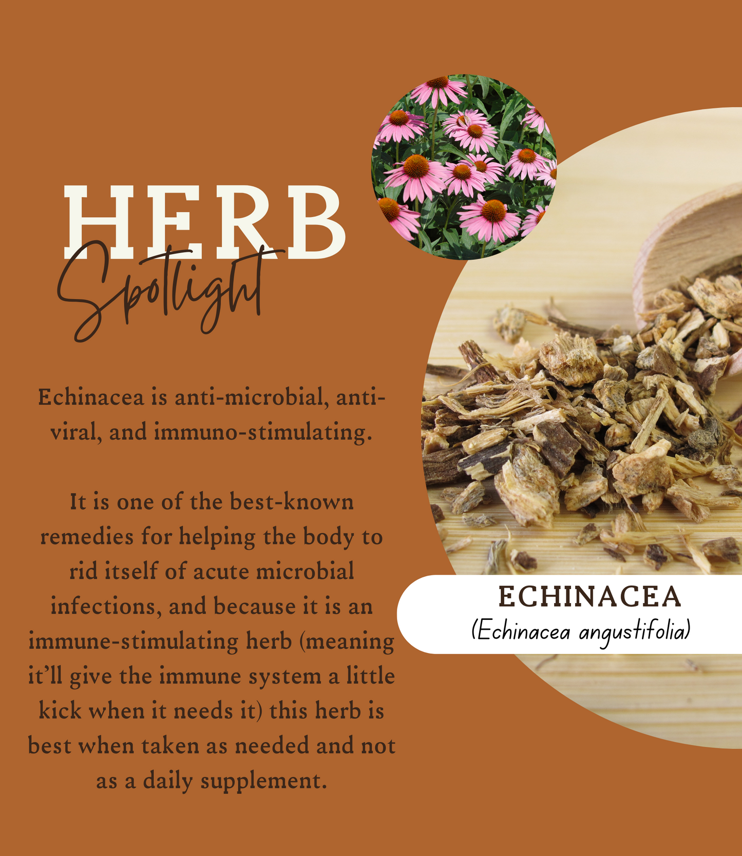 ELDERBERRY REMEDY